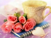 Hình nền hoa hồng đẹp phần 1